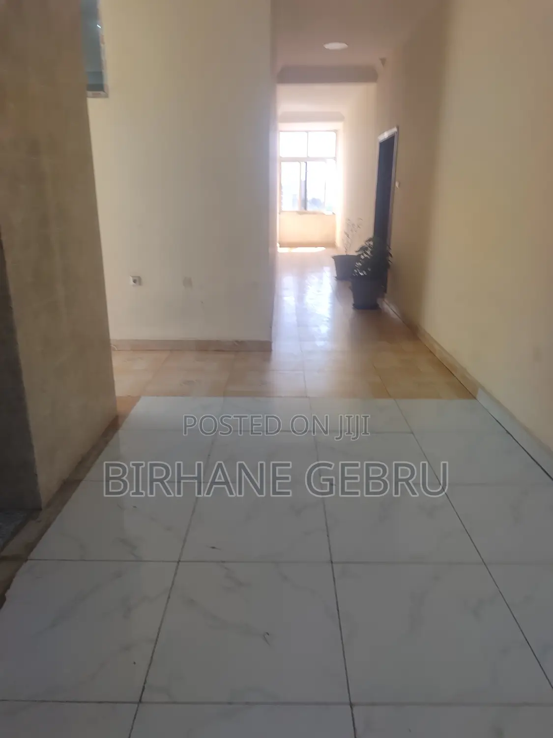 Luxury Apartiment Rent for Office