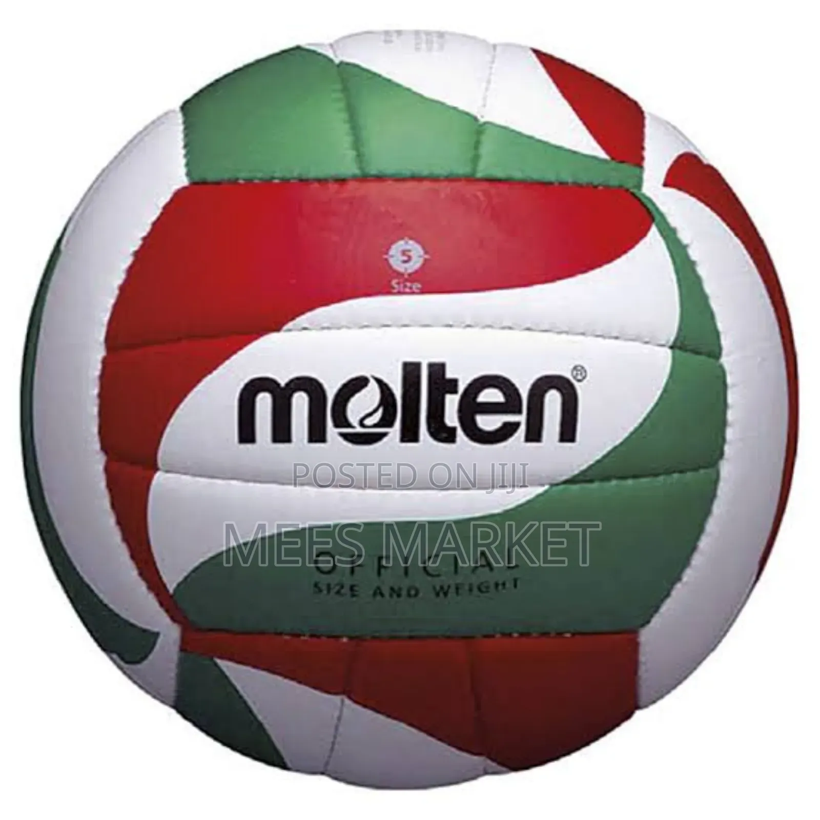 Molten Volleyball