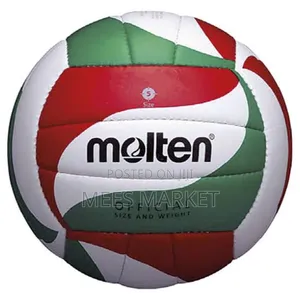 Photo - Molten Volleyball