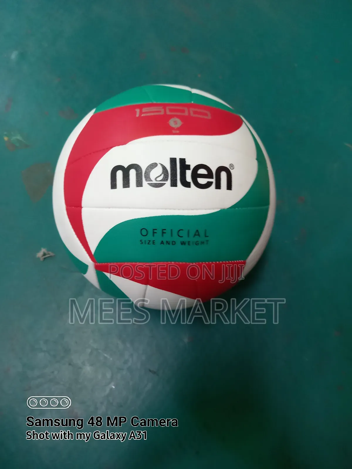 Molten Volleyball