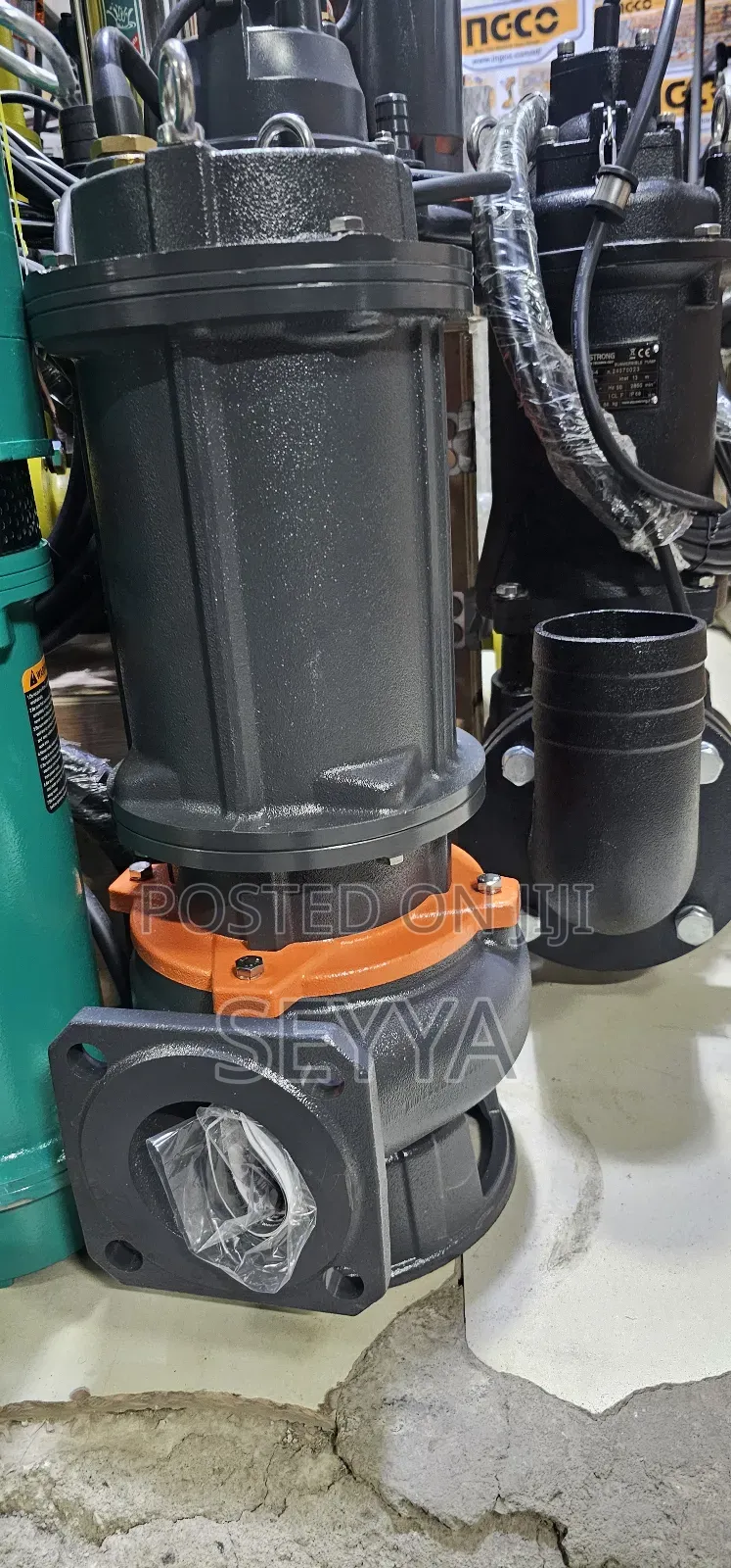 Leo Sewage Dewatering Pump