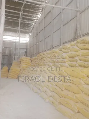 Photo - Gypsum Powder