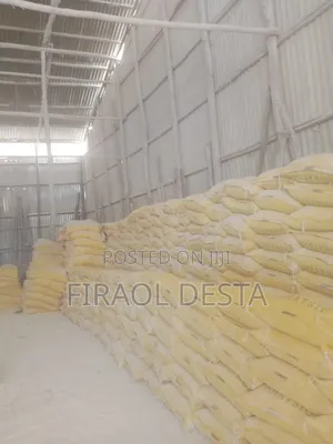 Gypsum Powder