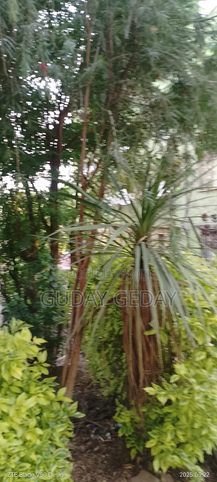 Furnished 3bdrm Condo in Akaky Kaliti for sale