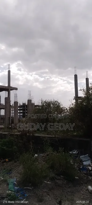 Photo - 7bdrm Block of Flats in Akaky Kaliti for sale