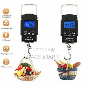 Portable Electronic Scale ዘመናዊ በኤሌክትሮኒክስ የሚሰራ ሚዛን