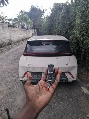 Photo - Byd ቁልፍ ፕሮግራም አገልግሎት
