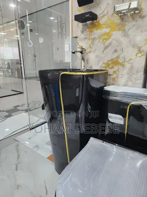 Golden Dragon Toilet