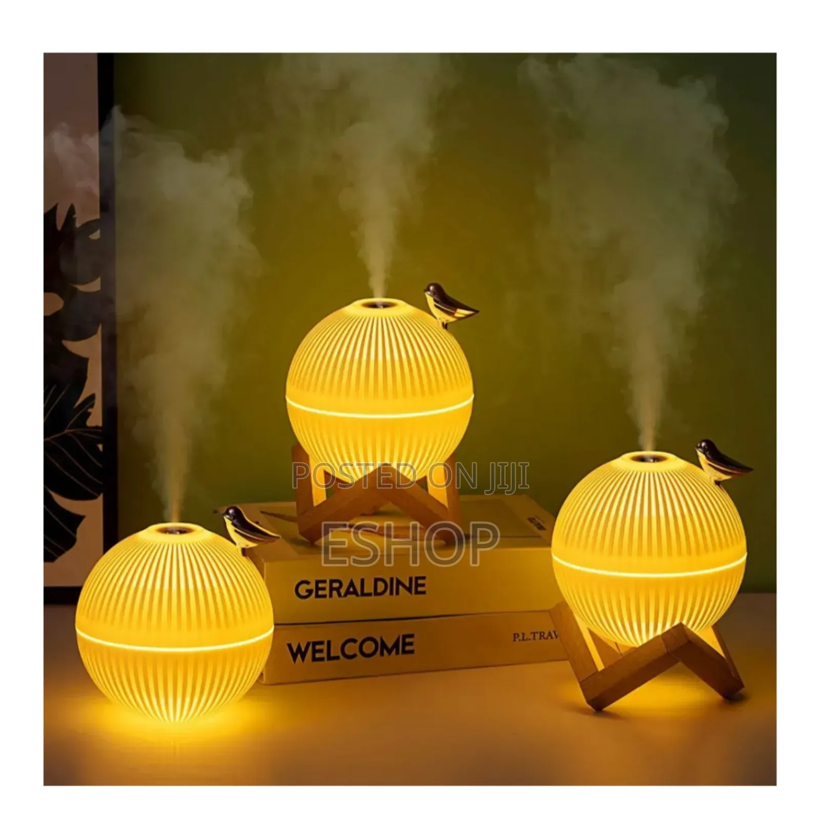 **Lark Humidifier – Perfect Gift for Home Office**