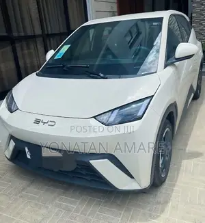 BYD Seagull 38 kWh FWD 2024 White