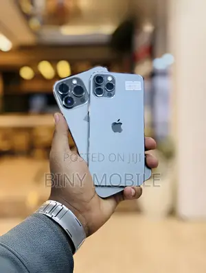 Apple iPhone 12 Pro Max 256 GB Gray