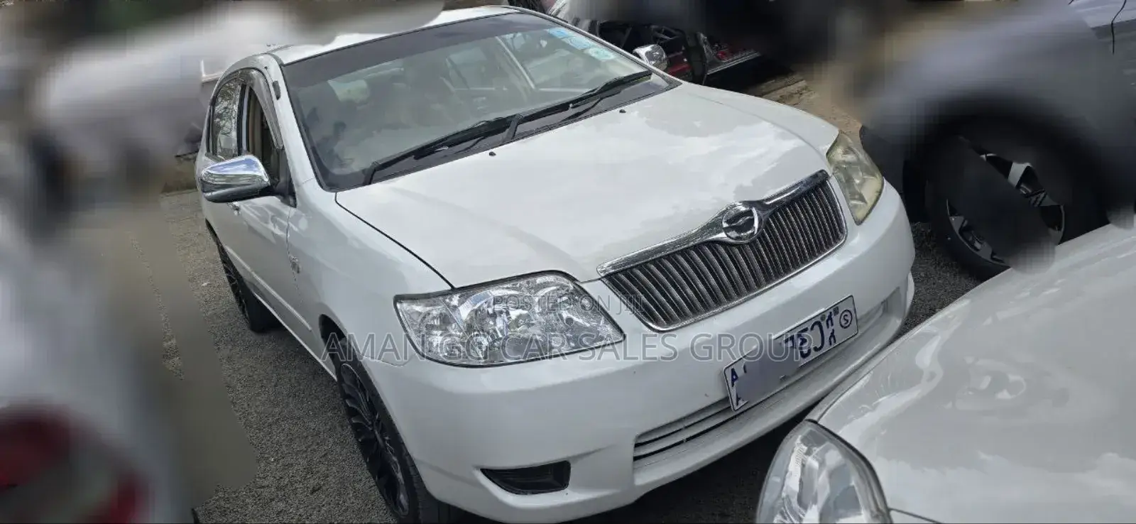 Toyota Corolla 2005 Ivory