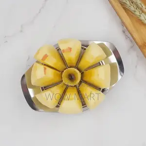Apples Slicer