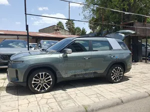 New SsangYong Chairman 2025 Gray