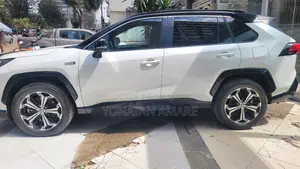 New Toyota RAV4 2024 White
