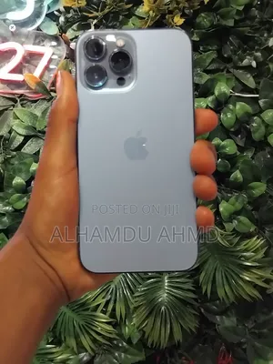 Apple iPhone 13 Pro Max 256 GB