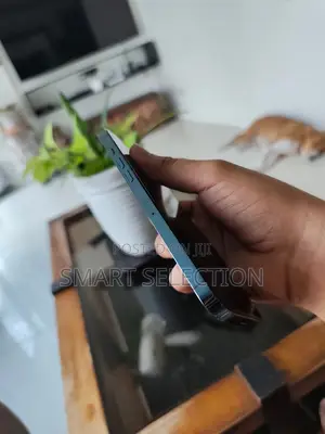 Apple iPhone 12 Pro Max 256 GB Blue