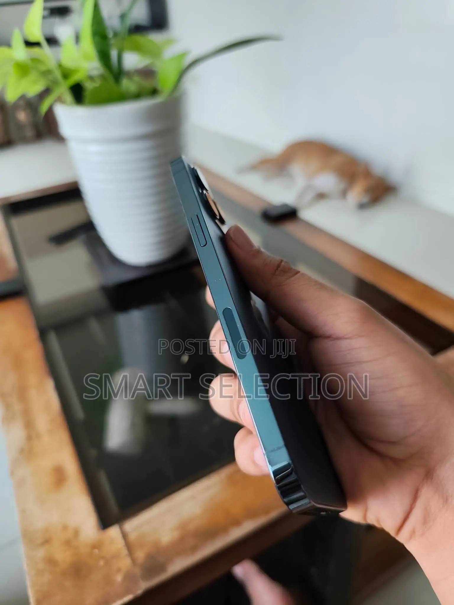 Apple iPhone 12 Pro Max 256 GB Blue