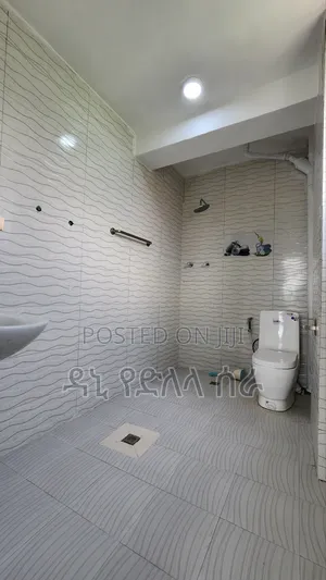 Furnished 3bdrm Condo in አዲስ አበባ, Bole for sale