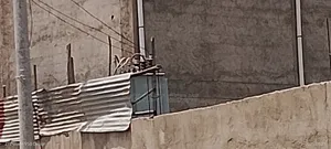 የሚከራይ 10000 ካሬ ላይ ያረፈ መጋዘን