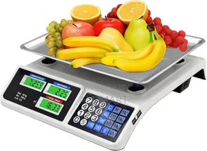 Rj1986 Price Computing Scale