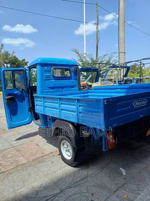 Photo - New Bajaj 2024 Blue