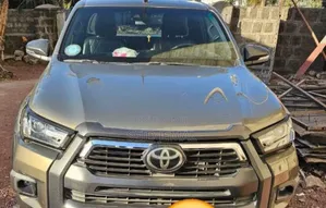 Photo - Toyota Hilux 2021 Brown