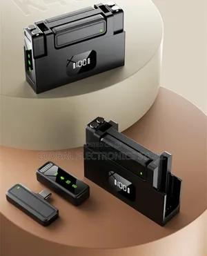 Cd Level Dual Microphone Lossless Audio (48 KHZ/24 Bit)