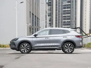 New BYD Song Plus DM-i 2024 Gray