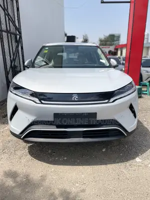 Photo - New BYD Yuan Up 2025 Blue