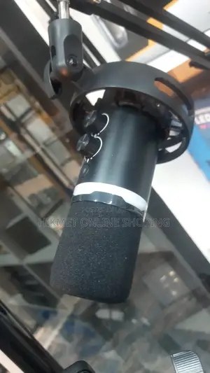 Q1 Microphone