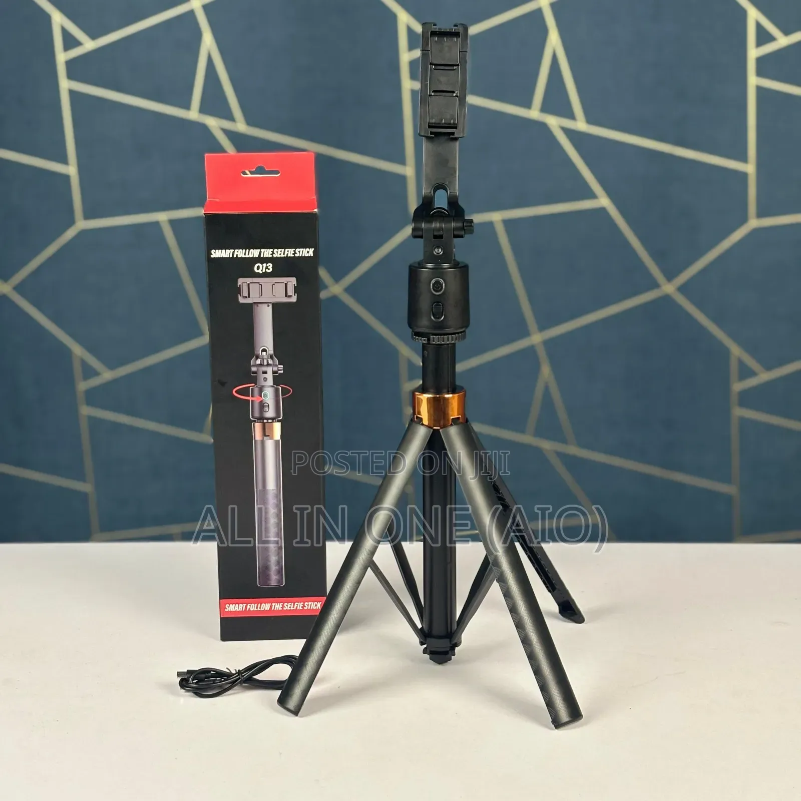 Q13 Smart Follow Selfie Stick