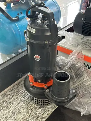 Photo - Leo QDX Submersible Pump 2 Hp