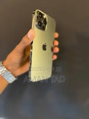 New Apple iPhone 13 Pro Max 256 GB Gray