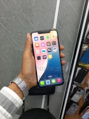 Apple iPhone 11 Pro Max 256 GB Black