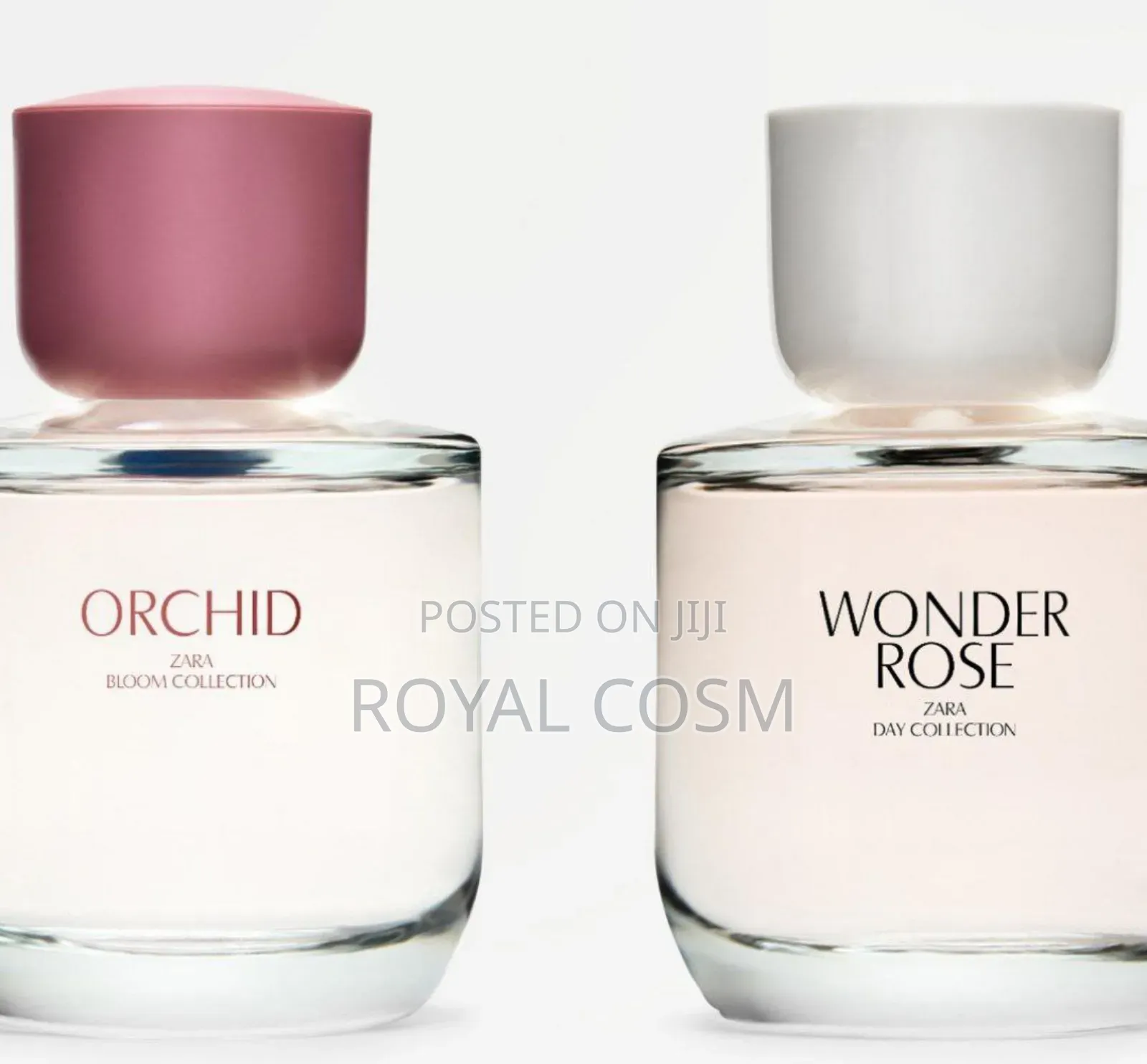 Zara Orchid and Rose Wonder Womens Collection Perfumes