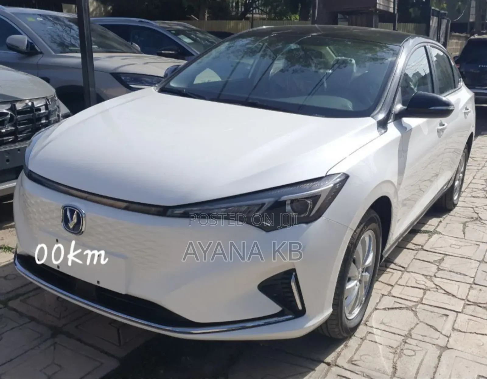 New Changan Eado 2024 White