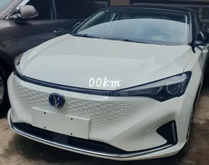 Photo - New Changan Eado 2024 White