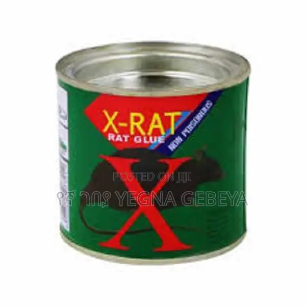 Mouse Hunting Made Easy With X Rat Glue
