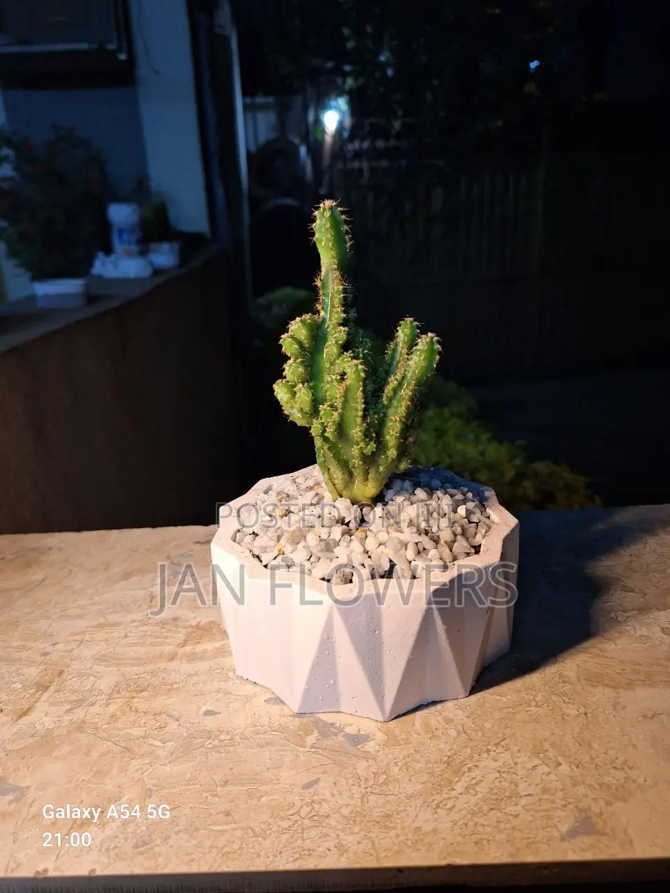 Mm Concrete Flower Pot With Natural Flower for Home Office