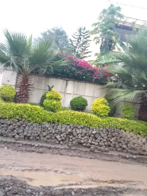 Photo - 3bdrm Villa in Bole for sale