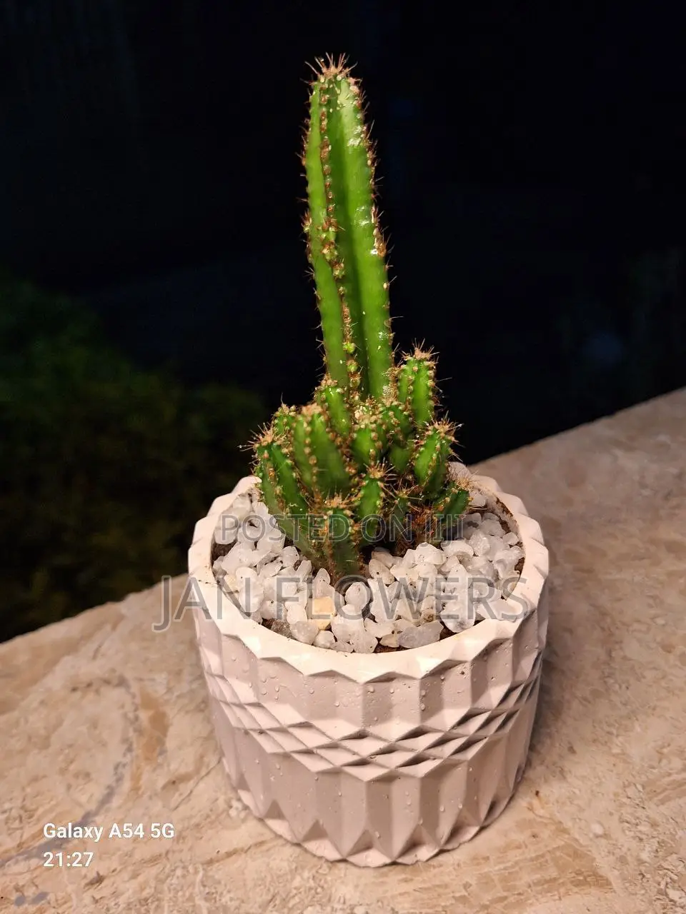 M2 Concrete Flower Pot With Natural Flower for Home Office