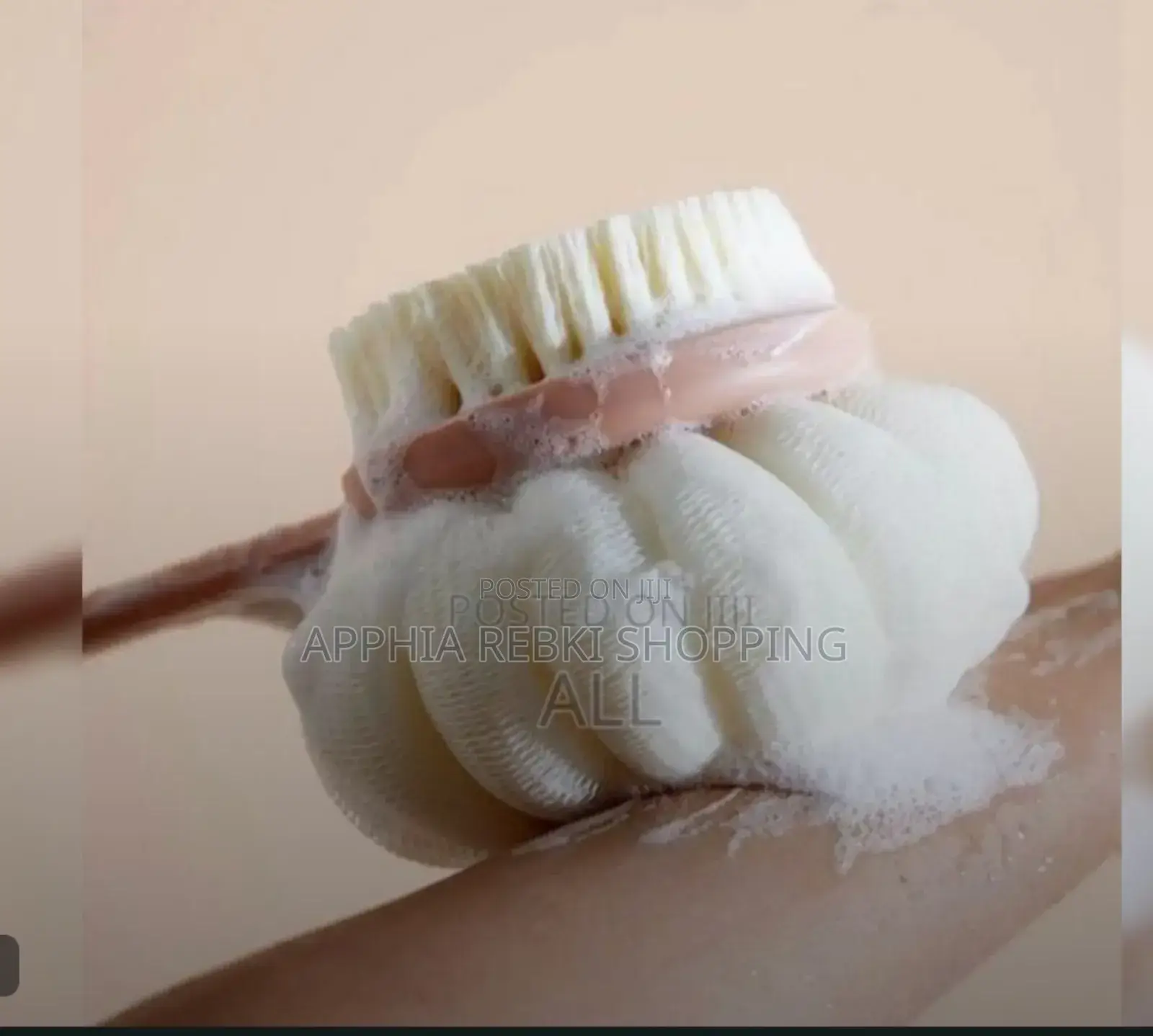 Long Handel Bath Brush and Sponge