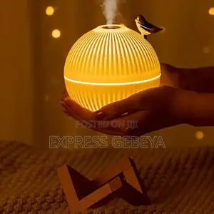 Lark Air Humidifier With Led Light