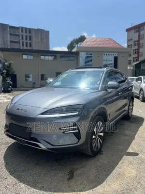 New BYD Song Plus 2025 Gray