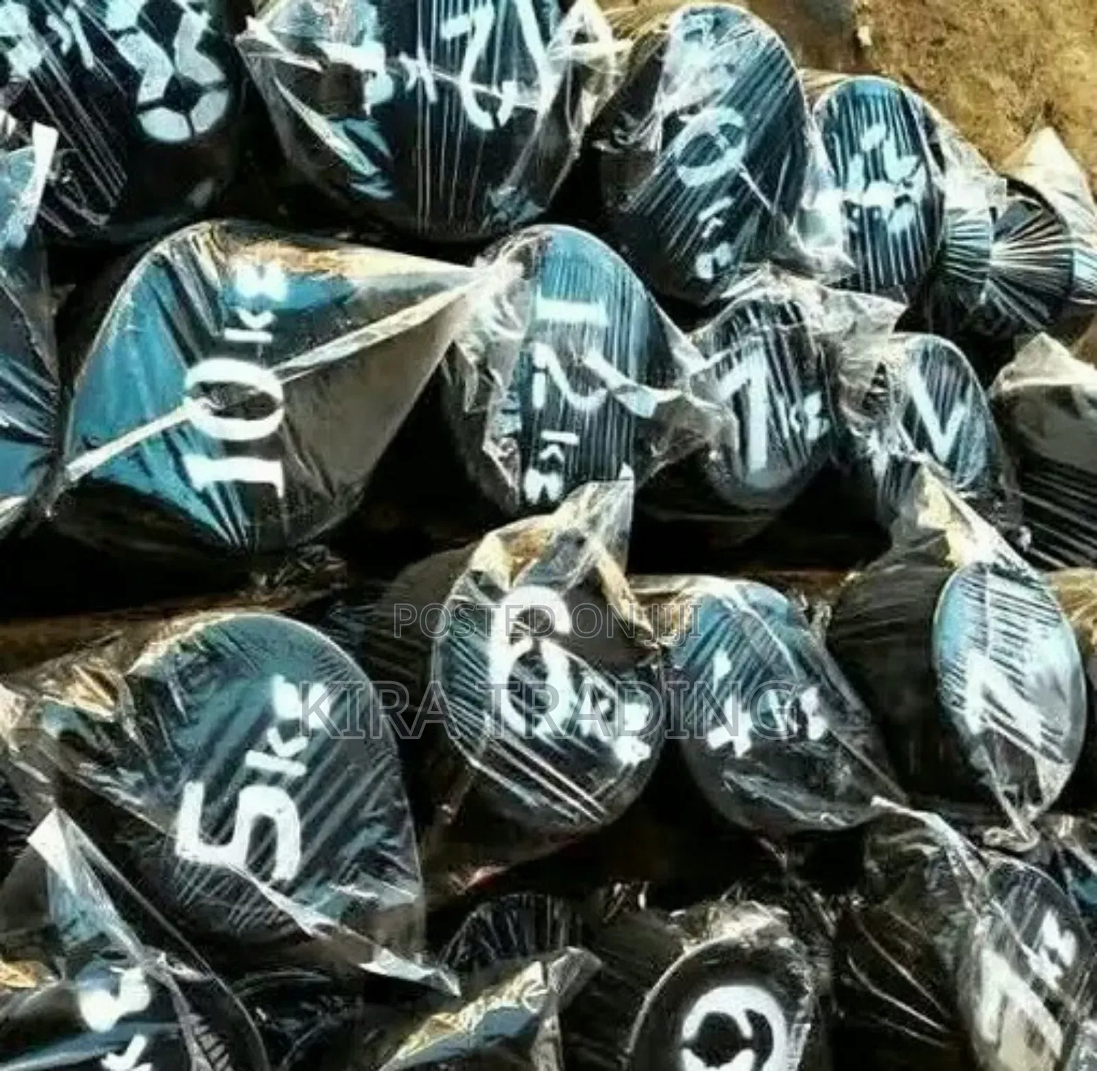 ያሉበት ድረስ ዳምፔሎች