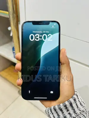 Apple iPhone 12 Pro Max 256 GB Blue