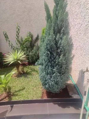 Villa House Fernished Guest House for Rent