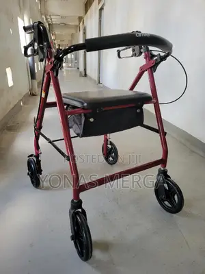 Photo - European Walker٥|Walker With Padded Seat, Lockable Brakes