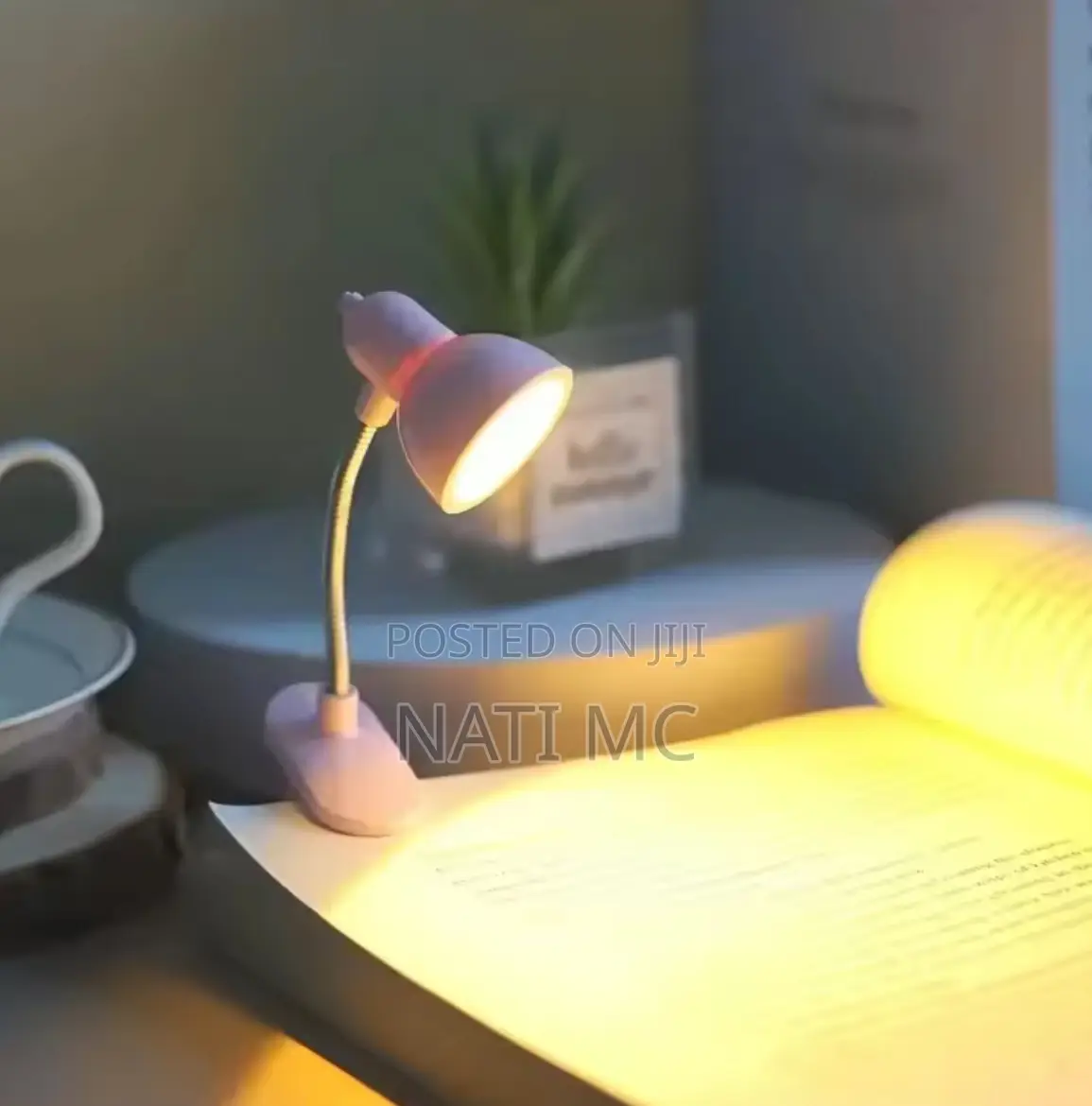 Reading Lamp for Books